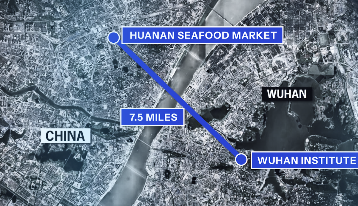 Szokujące nowe ustalenia: Prawda o pochodzeniu COVID-19 ujawniona w raporcie Białego Domu